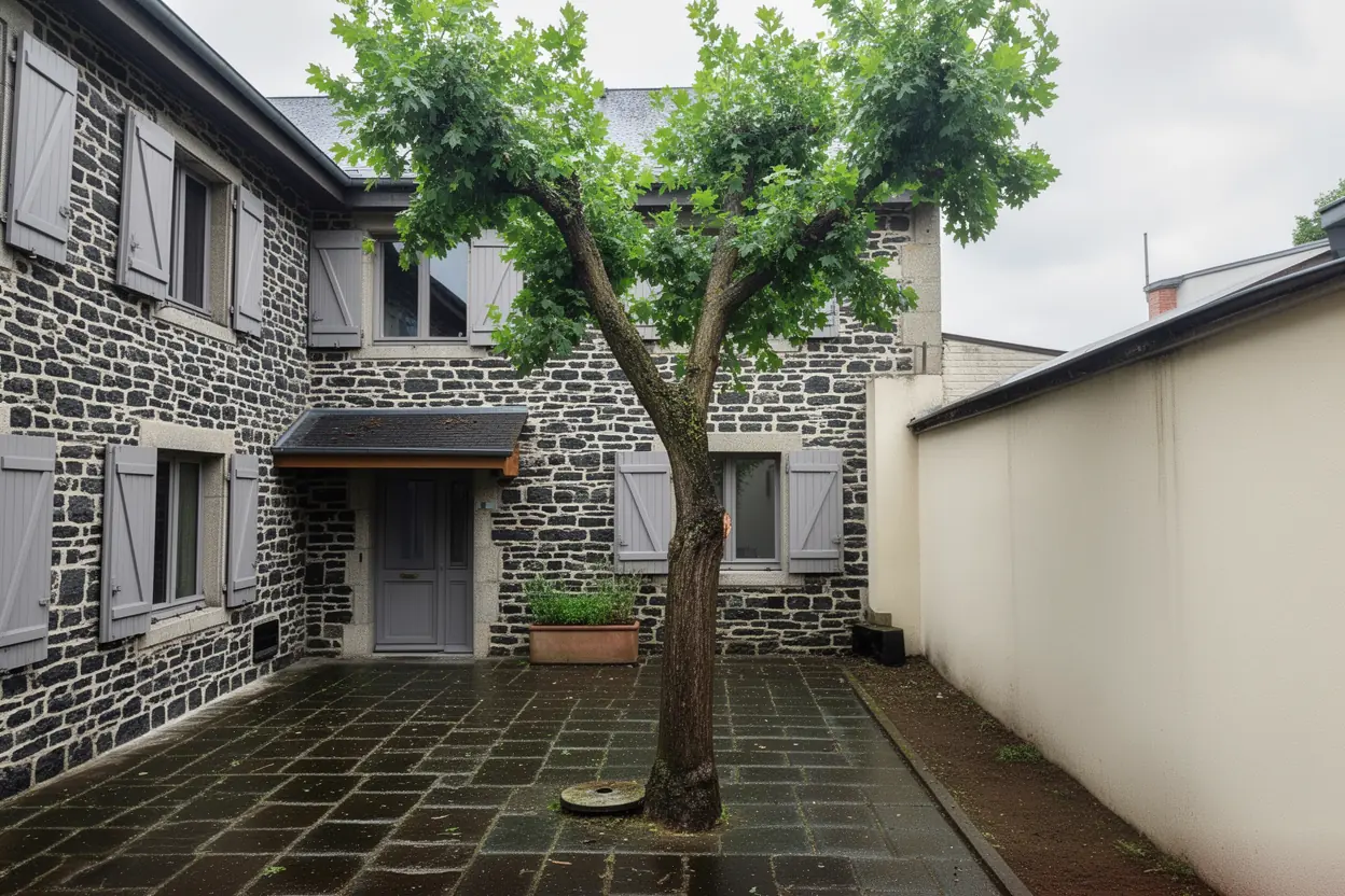 Arbre sécurisé après démontage ciblé à Clermont-Ferrand