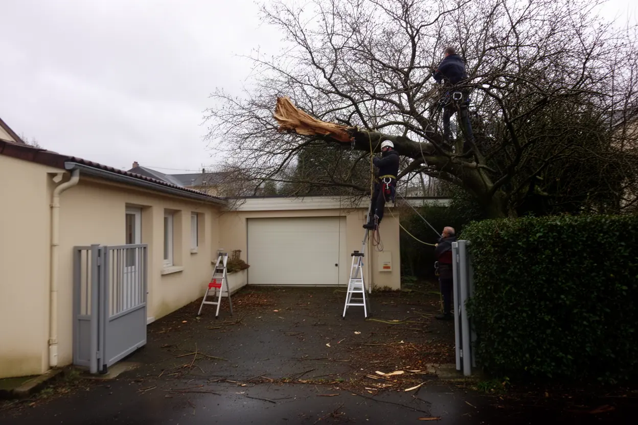 Élagueur sécurisant une branche cassée après orage à Riom